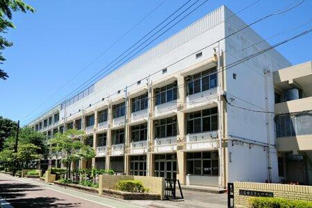 中学校　三鷹市立第七中学校（中学校）まで225m