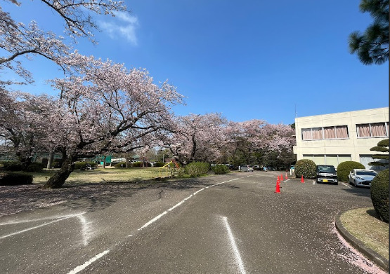 公園　印旛中央公園（公園）まで1806m