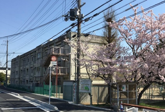 小学校　大津市立石山小学校（小学校）まで912m