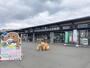 その他　道の駅 サシバの里いちかい（その他）まで2000m