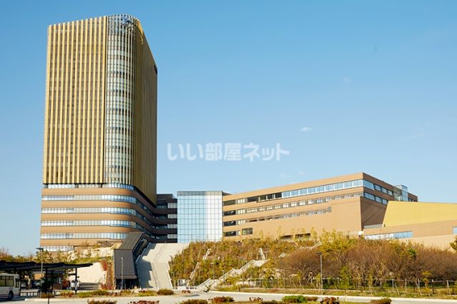 大学・短大　中央大学（大学・短大）まで1067m
