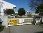 小学校　渡里小学校（小学校）まで1162m