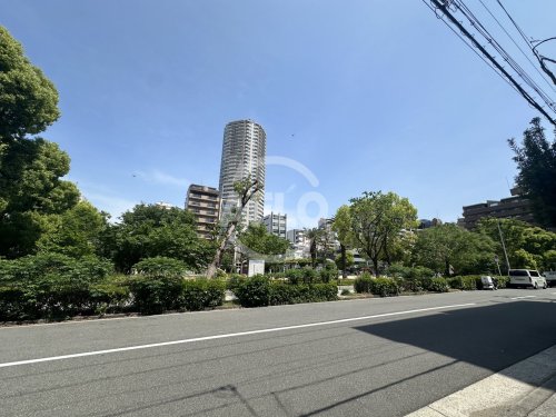 公園　南大江公園（公園）まで210m