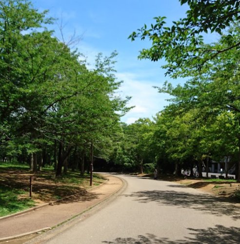 その他　青葉の森公園野球場（その他）まで617m