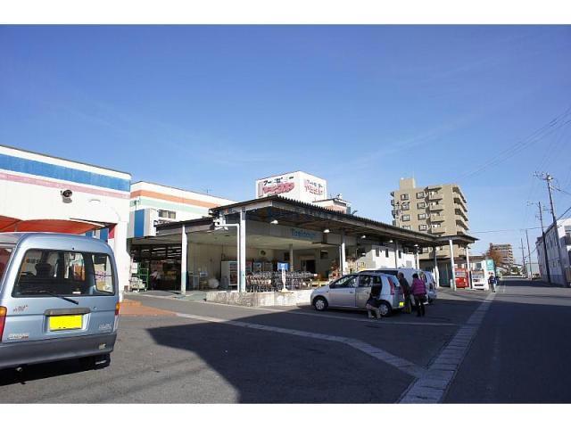 スーパー　トミダヤ岐大店（スーパー）まで1391m