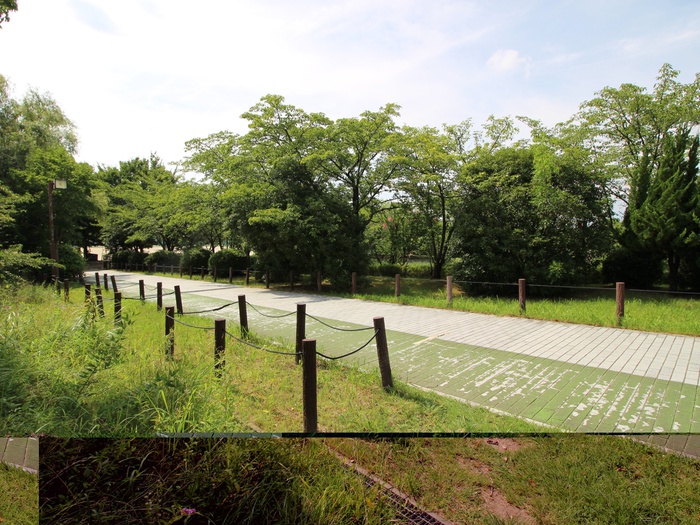 公園　細口池公園（公園）まで850m