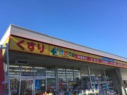 ドラックストア　どらっぐ ぱぱす 東立石店（ドラッグストア）まで1045m