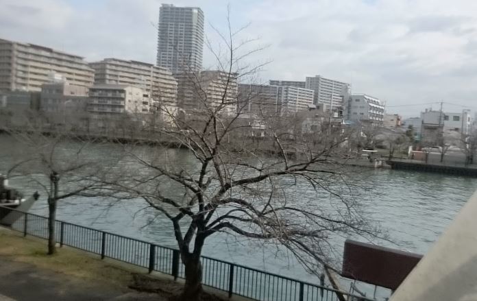 地下鉄谷町線 天神橋筋六丁目駅 徒歩2分 8階建 築24年の周辺写真