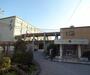 小学校　柊野小学校（小学校）まで260m
