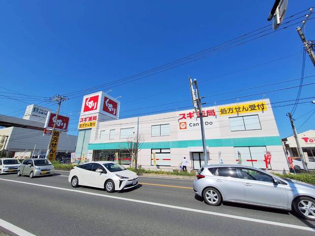 ドラックストア　スギ薬局平塚西店（ドラッグストア）まで1326m