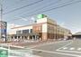 スーパー　ライフ上鶴間店（スーパー）まで530m