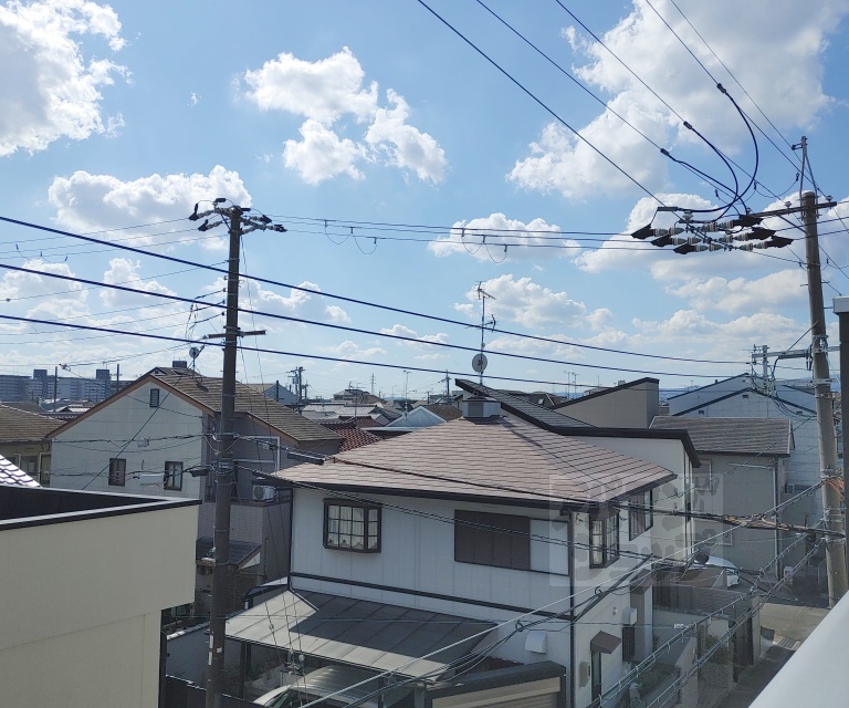 眺望