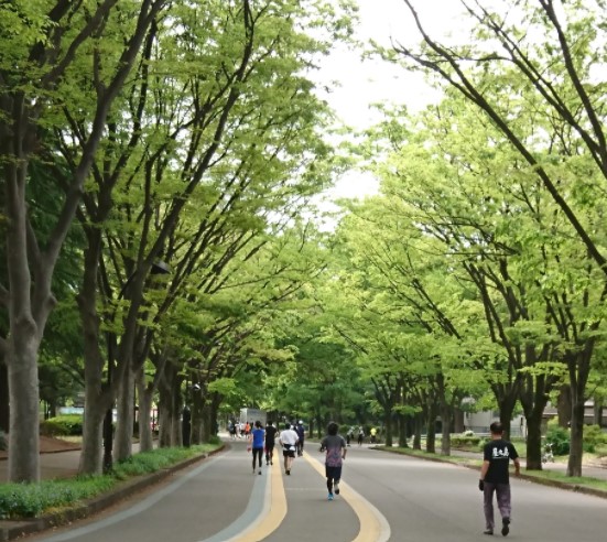 公園　駒沢オリンピック公園（公園）まで519m