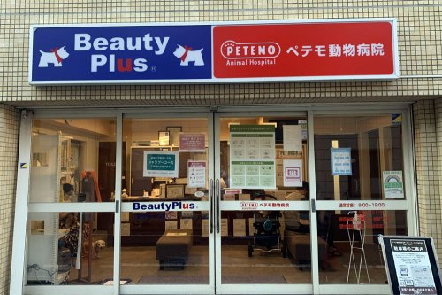 その他　【動物病院】ペテモ動物病院　亀戸店（その他）まで595m