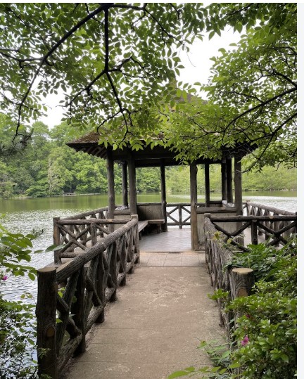 公園　石神井台緑地（公園）まで356m