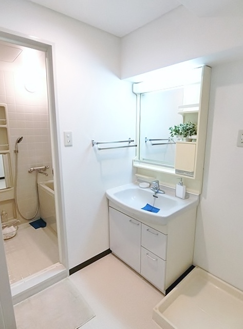 洗面設備　他の号室の御写真です。参考写真