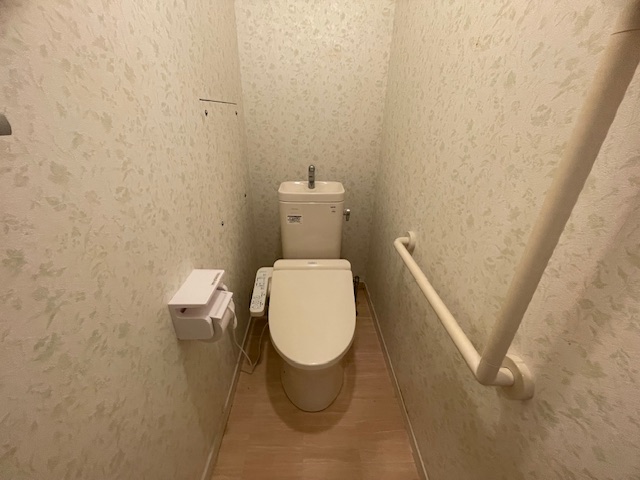 志井サンハイツタウンハウスのトイレ写真