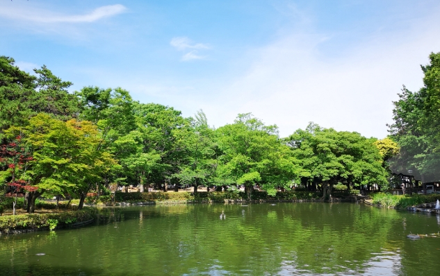 公園　妙正寺公園（公園）まで950m
