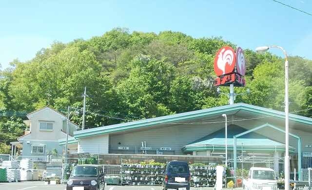 ホームセンター　コメリ（ホームセンター）まで1600m