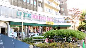 ドラックストア　Welpark(ウェルパーク) 調剤薬局新宿小滝橋店（ドラッグストア）まで118m