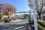 スーパー　ダイエーいちかわコルトンプラザ店（スーパー）まで590m
