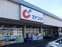 ドラックストア　カワチ薬品 小山西店（ドラッグストア）まで1144m