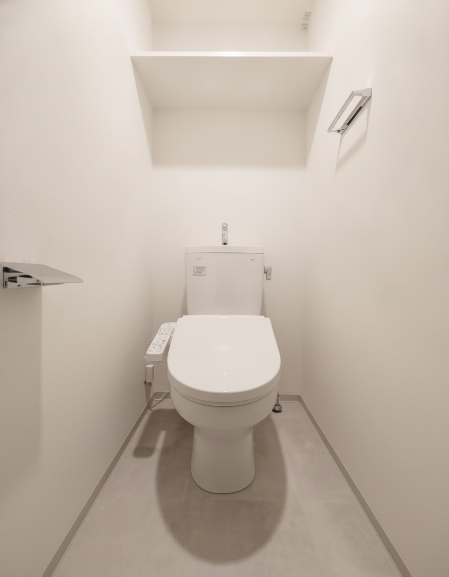 Alivis九条のトイレ写真