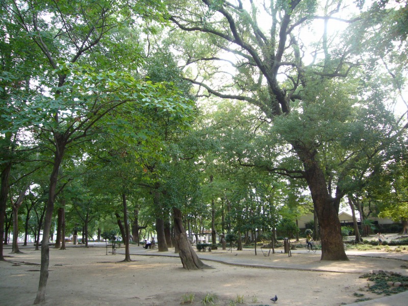公園　十三公園（公園）まで534m