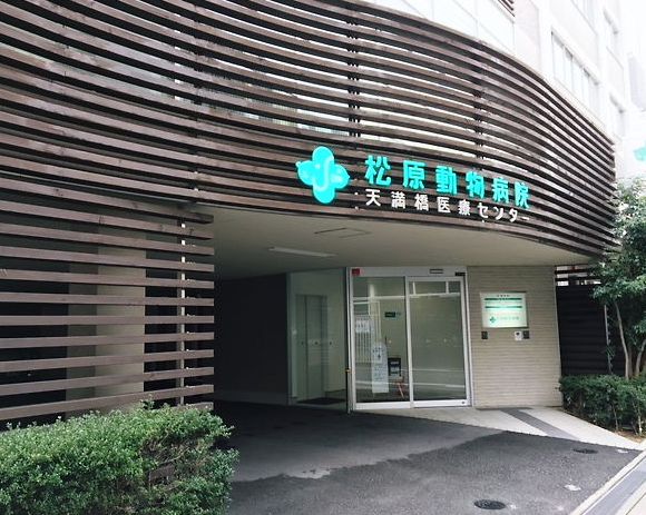 病院　松原動物病院天満橋医療センター（病院）まで350m
