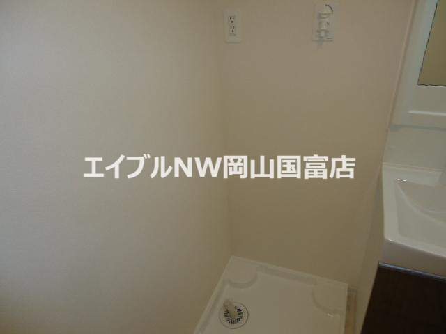オリーブのその他写真
