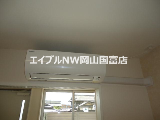 オリーブのその他写真