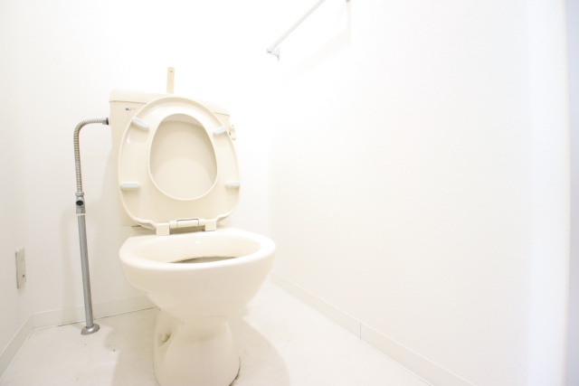 ヤングパレスB棟のトイレ写真