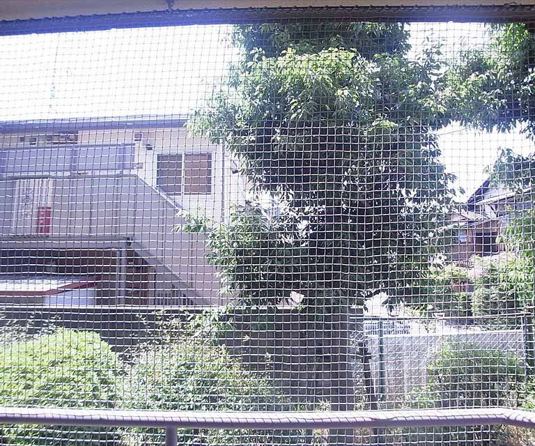 眺望　南向きのバルコニからの眺めです