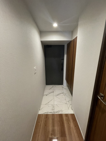 レーベン宮崎ONE TOWERの玄関写真