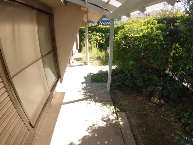 庭