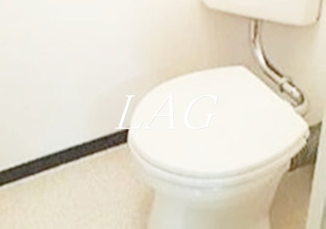 トイレ　トイレです。