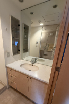 洗面設備　同タイプ部屋　参考写真です