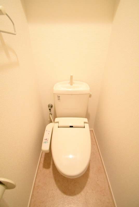 大成メゾンのトイレ写真