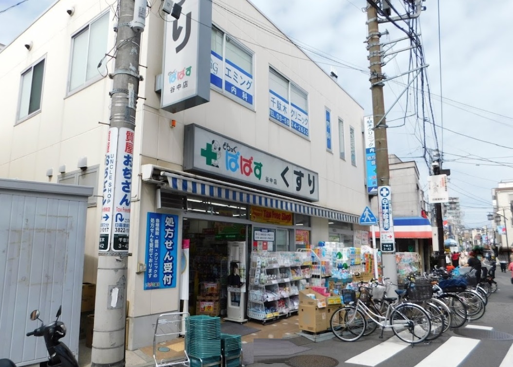 ドラックストア　どらっぐぱぱす谷中店（ドラッグストア）まで493m
