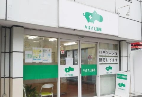 ドラックストア　かばさん薬局 亀戸店（ドラッグストア）まで485m