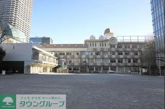 小学校　中央区立有馬小学校（小学校）まで370m