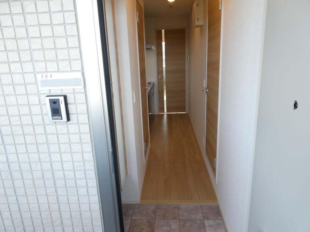 玄関　内観写真・動画・パノラマは同アパート２階同タイプ間取りのもの