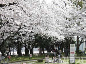 【吹田市内本町のマンションの公園】