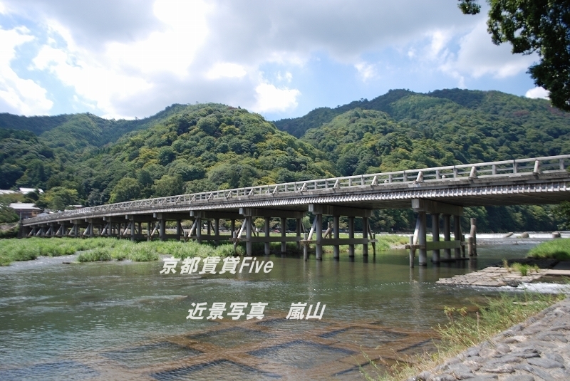 【ライオンズ嵯峨天龍寺若宮　西の邸のその他】