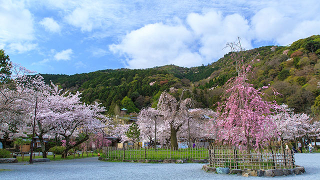 【ライオンズ嵯峨天龍寺若宮　西の邸の公園】