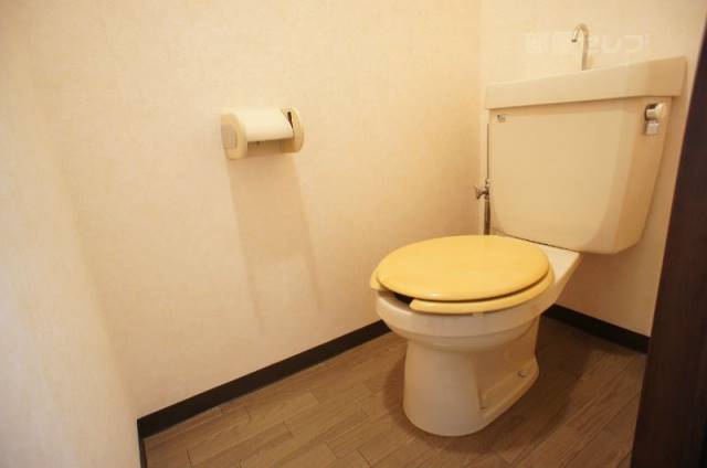 トイレ　写真は３Ｃ号室です