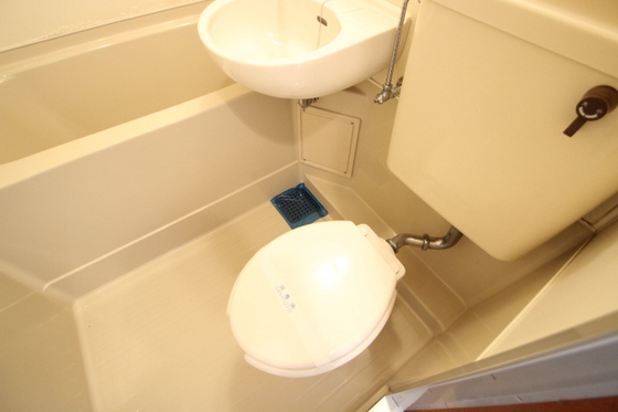 トイレ　※別号室の写真です