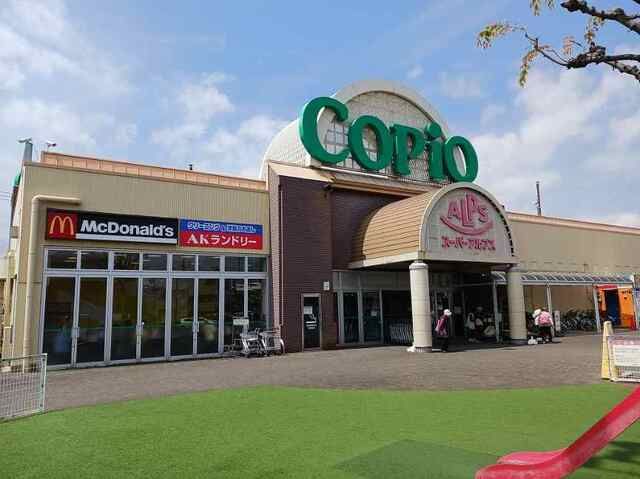 スーパー　アルプス（スーパー）まで800m