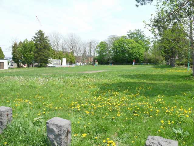 公園　中央公園（公園）まで521m