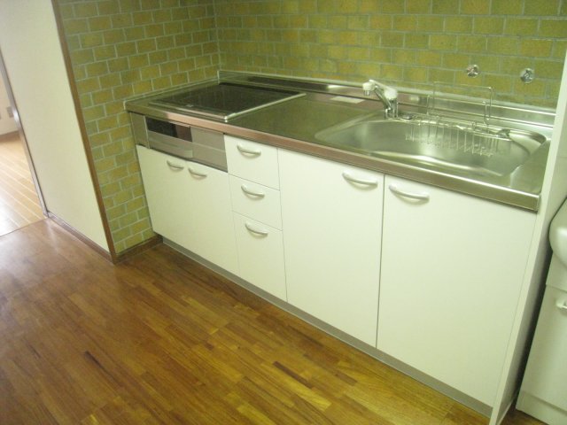 キッチン　同物件、別号室のものです。